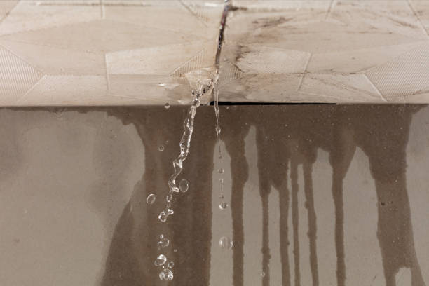 Professional Burst Pipe Cleanup technician working in Stumpy Point, NC